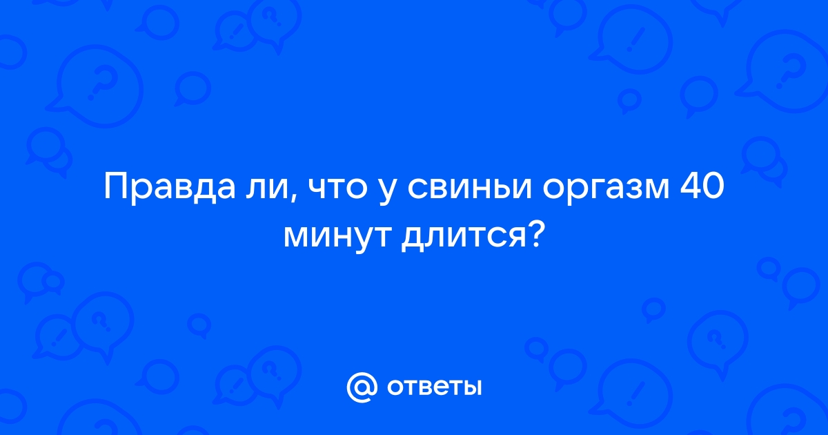 «Правда ли, что оргазм свиньи длится 30 минут?» — Яндекс Кью