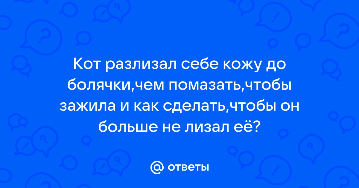 Слюна собаки: из чего состоит, полезна ли, чем опасна