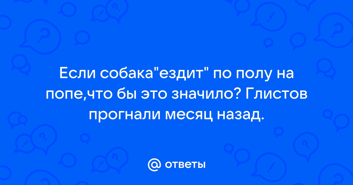 Почему собака ездит на попе?