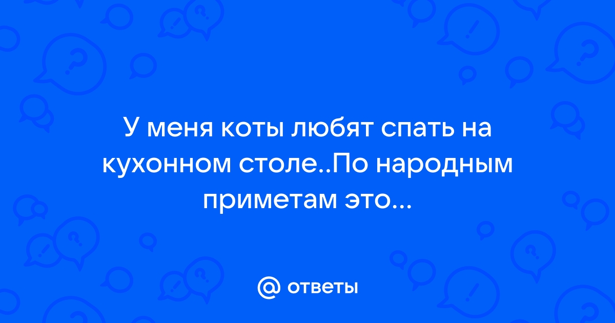 Приметы про кошек, поверья, суеверия: все известные сегодня