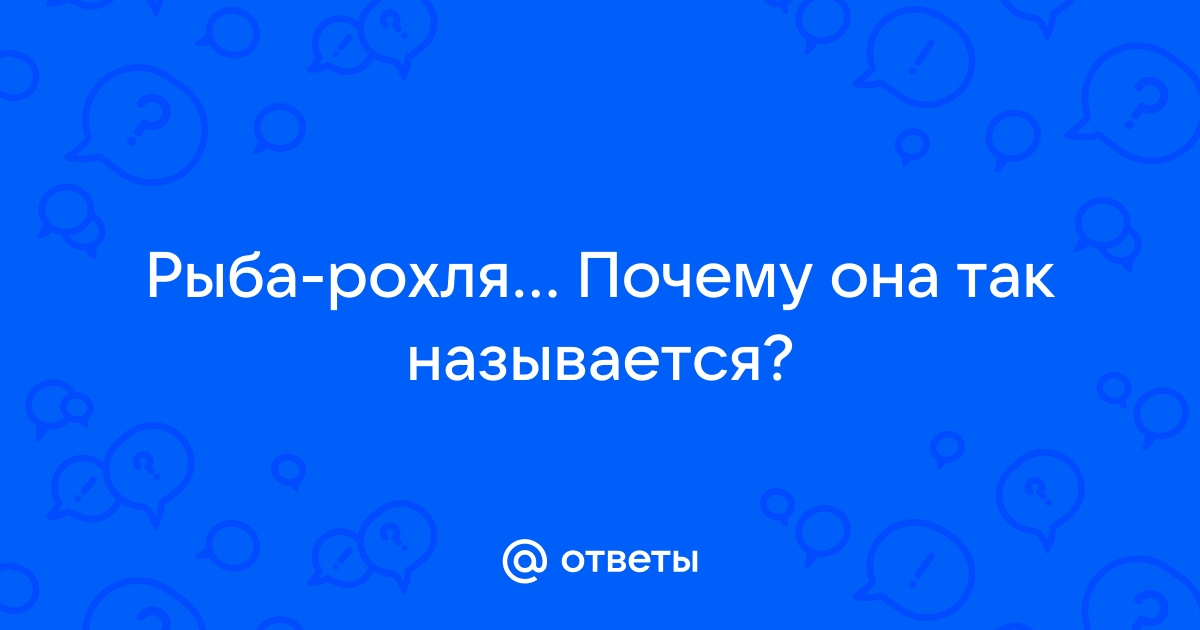 Whatsapp почему так называется приложение