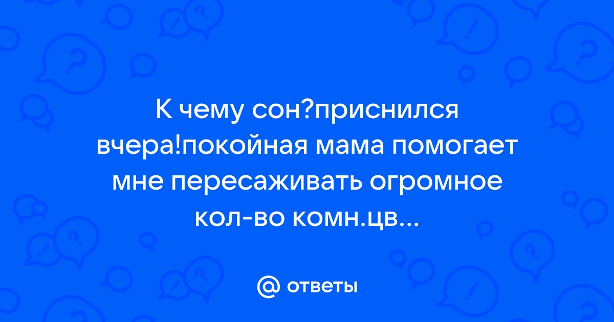 к чему снится цветы живые разные много | Дзен