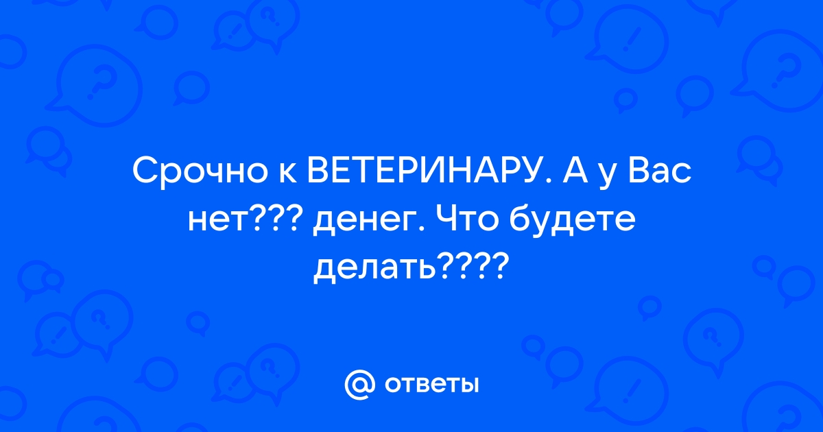 5 историй о том, как владельцы животных судились из-за здоровья питомцев