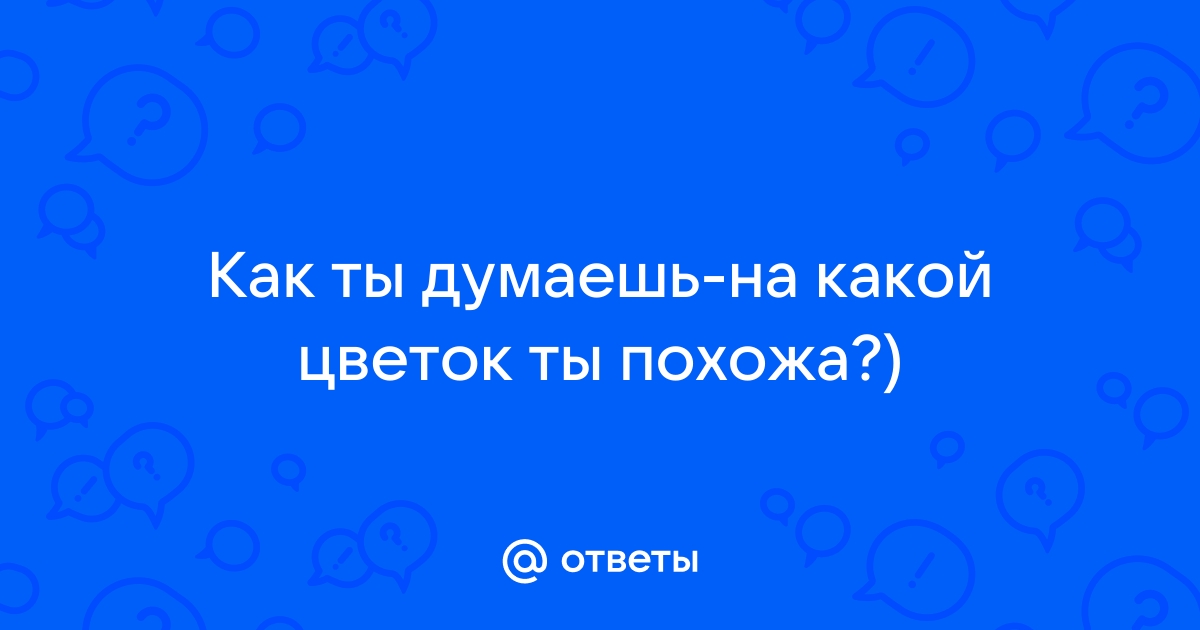 Ты так похожа на цветок