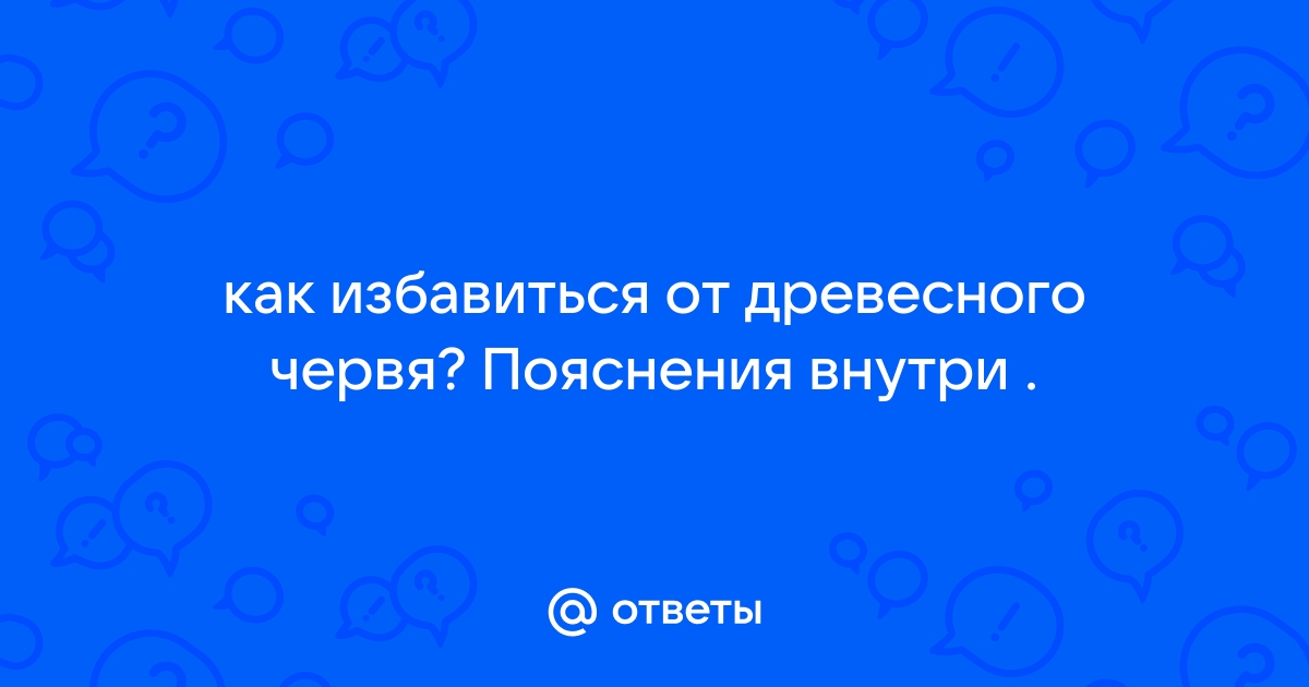 Сезон охоты на бамбуковых червей - VnExpress - мебель-дома.рф