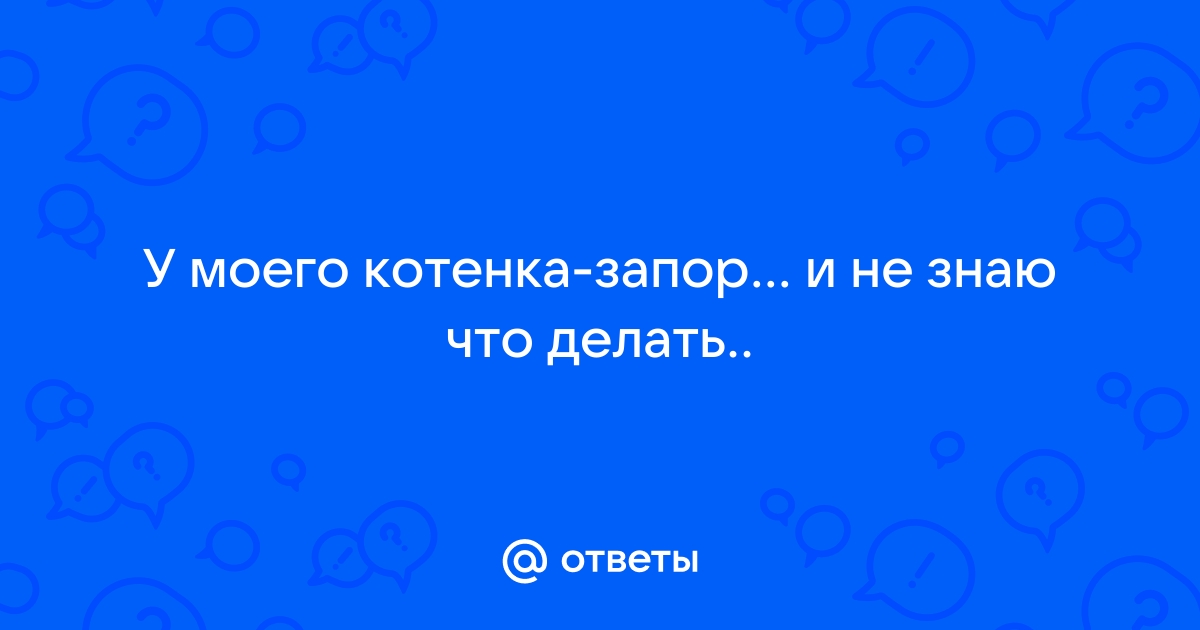 Почему котенок не ходит в туалет