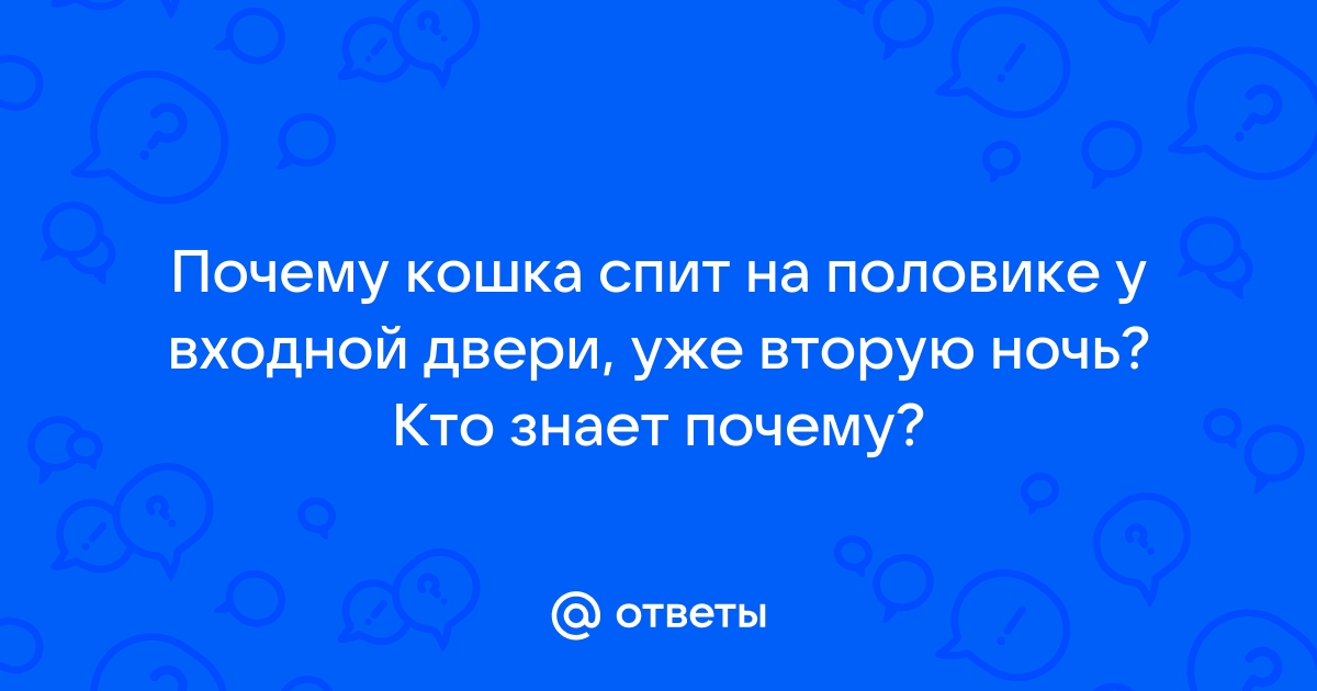 Кошка спит с Вами? Мы знаем почему!