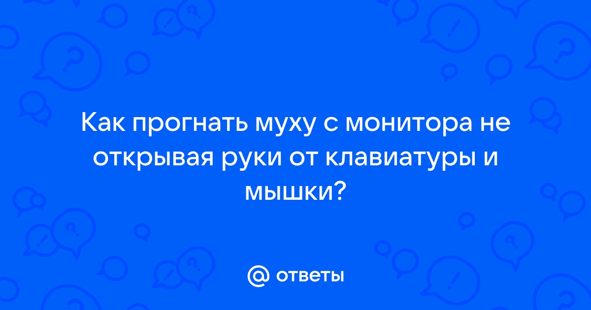 Зачем мошки летят на монитор