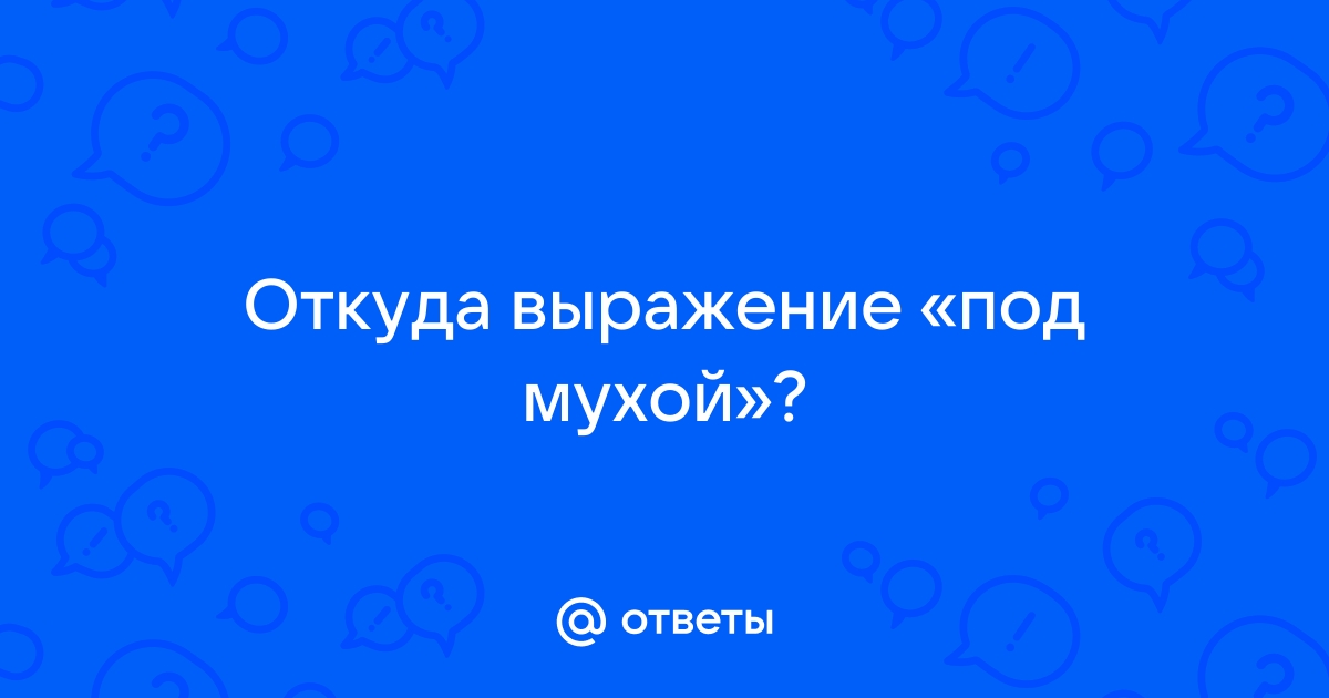 Если муха по монитору ползает кого вы больше ненавидите муху или монитор