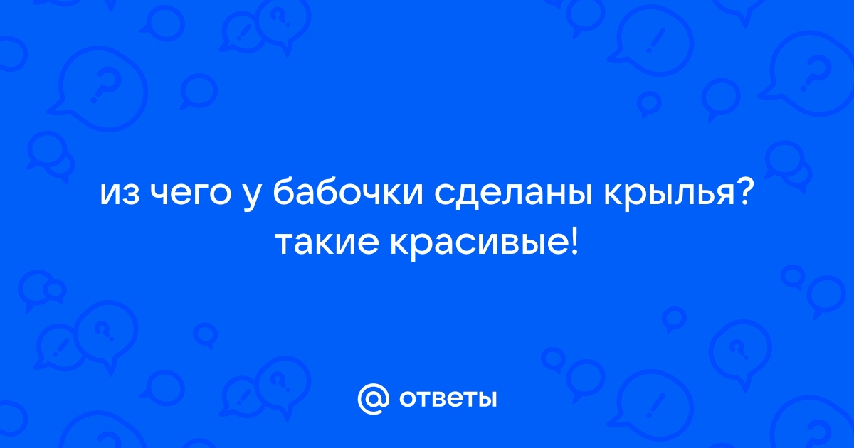 картинки бабочки стрекозы насекомые