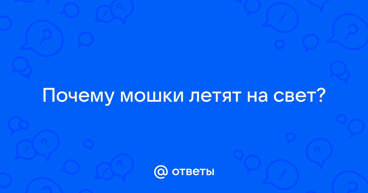 Зачем мошки летят на монитор