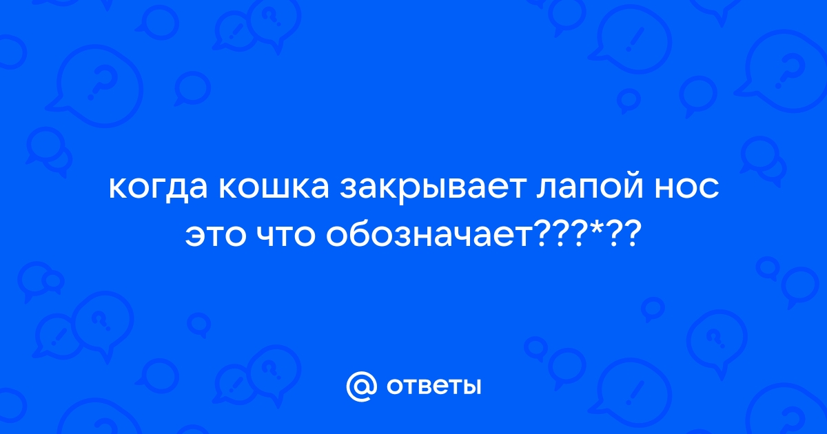 Зачем кошки закрывают мордочку лапой во сне