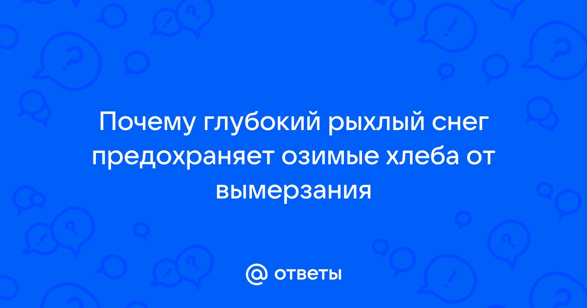 Почему глубокий рыхлый снег предохраняет озимые хлеба от вымерзания?