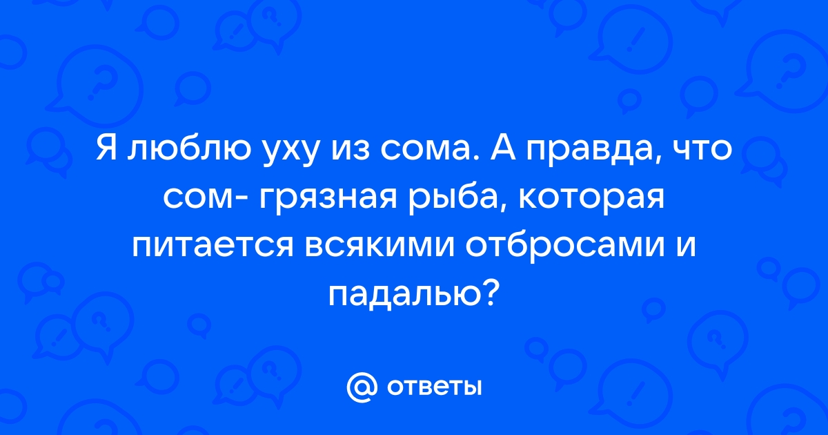 Другое дело ответы рыба на обеденном столе