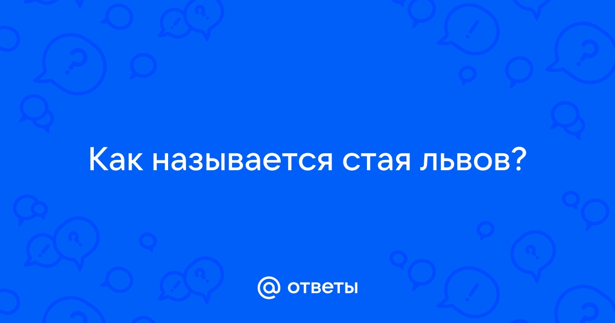 Связь между львами через имена