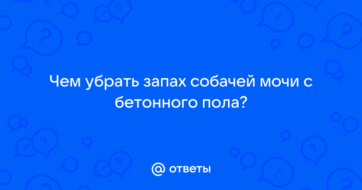 Чем вывести запах собачьей мочи с бетона