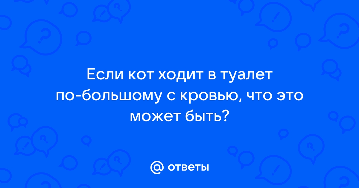 Причины кровотечения из заднего прохода