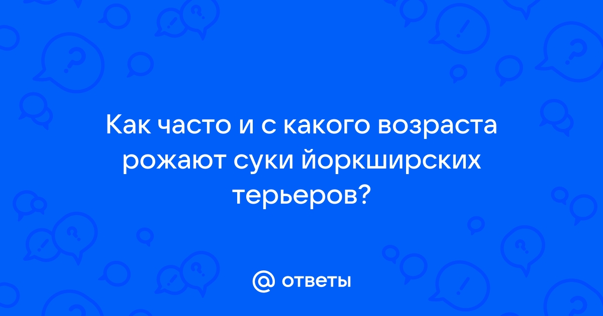 В каком возрасте вязать собак? - Форум НАШИ ЙОРКИ И ИХ ДРУЗЬЯ