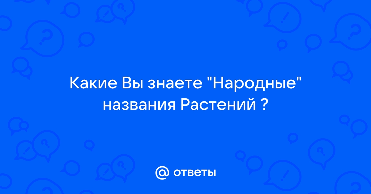 Странные свойства изображения