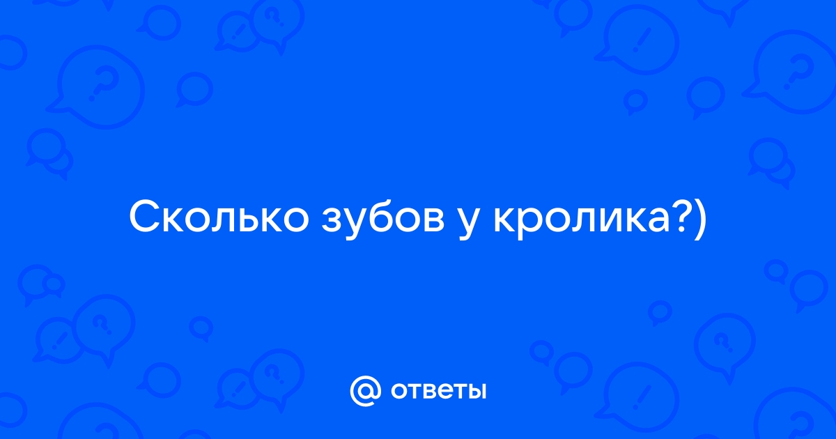 Сколько всего зубов у кролика: особенности их расположения, интересные факты