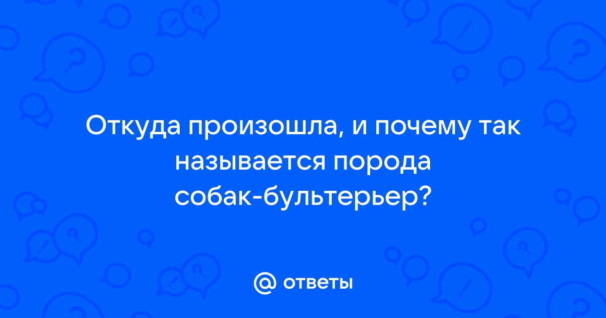 Откуда произошла фамилия сальников