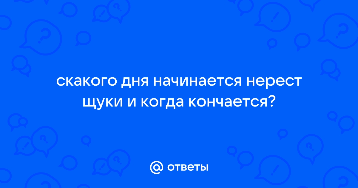 Нерест щуки. Когда, где и при каких условиях нерестится щука?