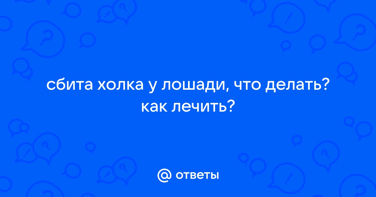 Конный мир - Здоровье лошади - Смотри, где сидишь99% травм можно избежать