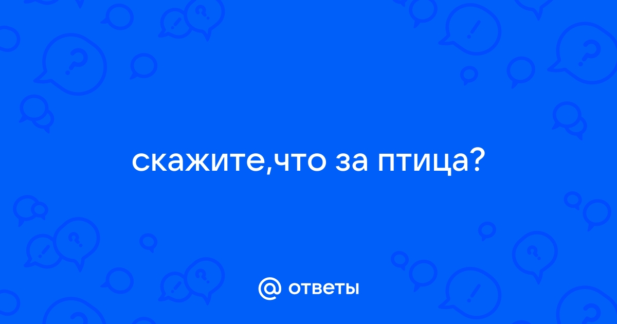 Гусь заговорил о чем то быстро горячо отчетливо но непонятно схема предложения