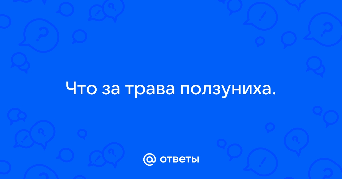 Приствольные круги как «колыбель» для рассады клубники и не только