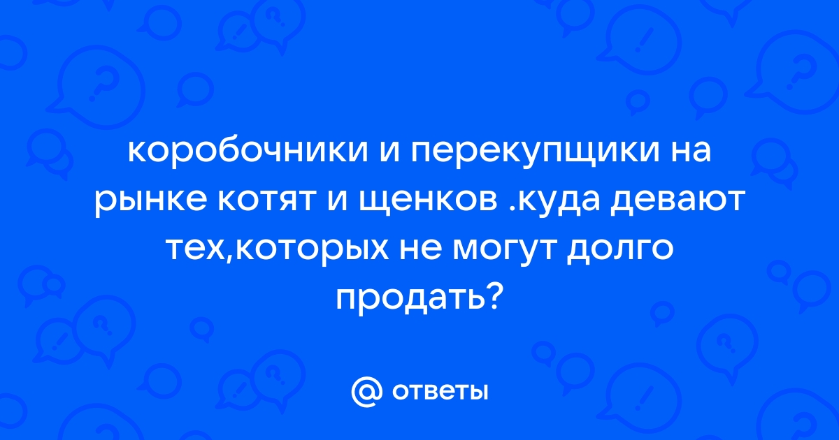 Куда сдают лисички перекупщики