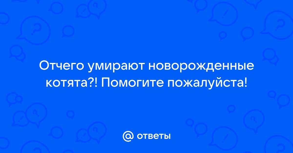 Синдром гибели новорожденных щенков:( | Мопсы (собаки), щенки, информация | VK