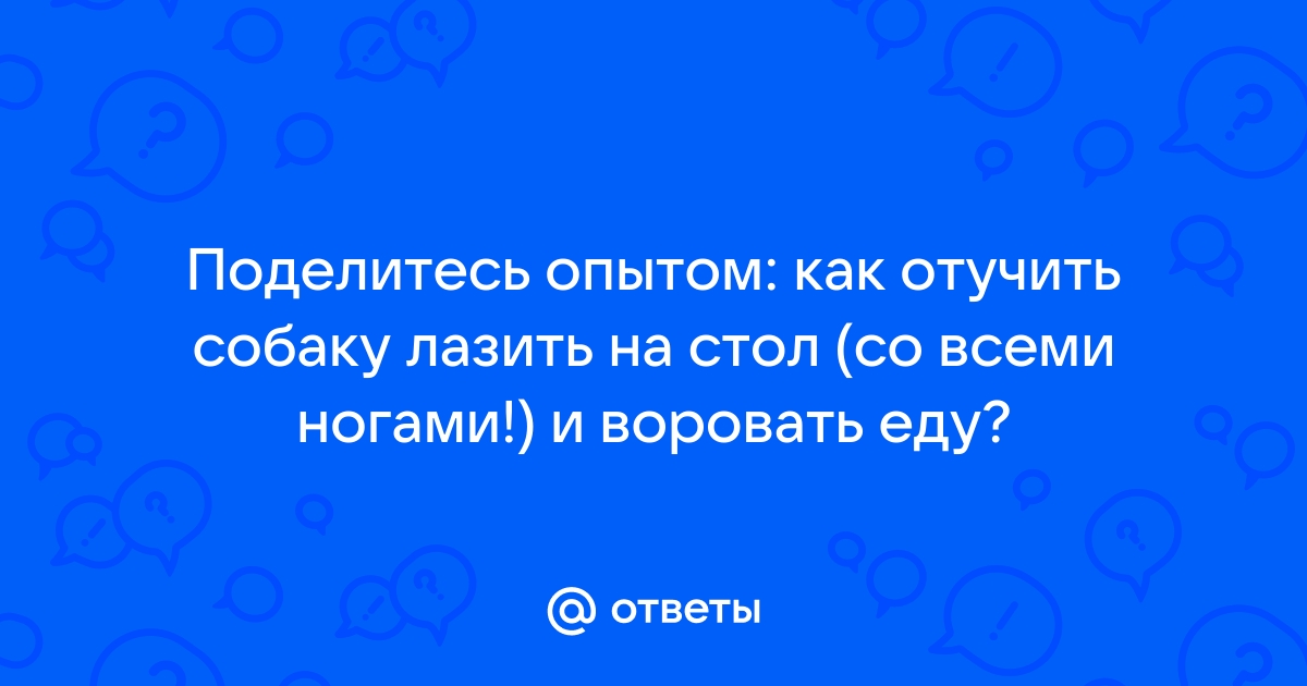 Как отучить собаку лазить на стол и воровать еду в отсутствие хозяина