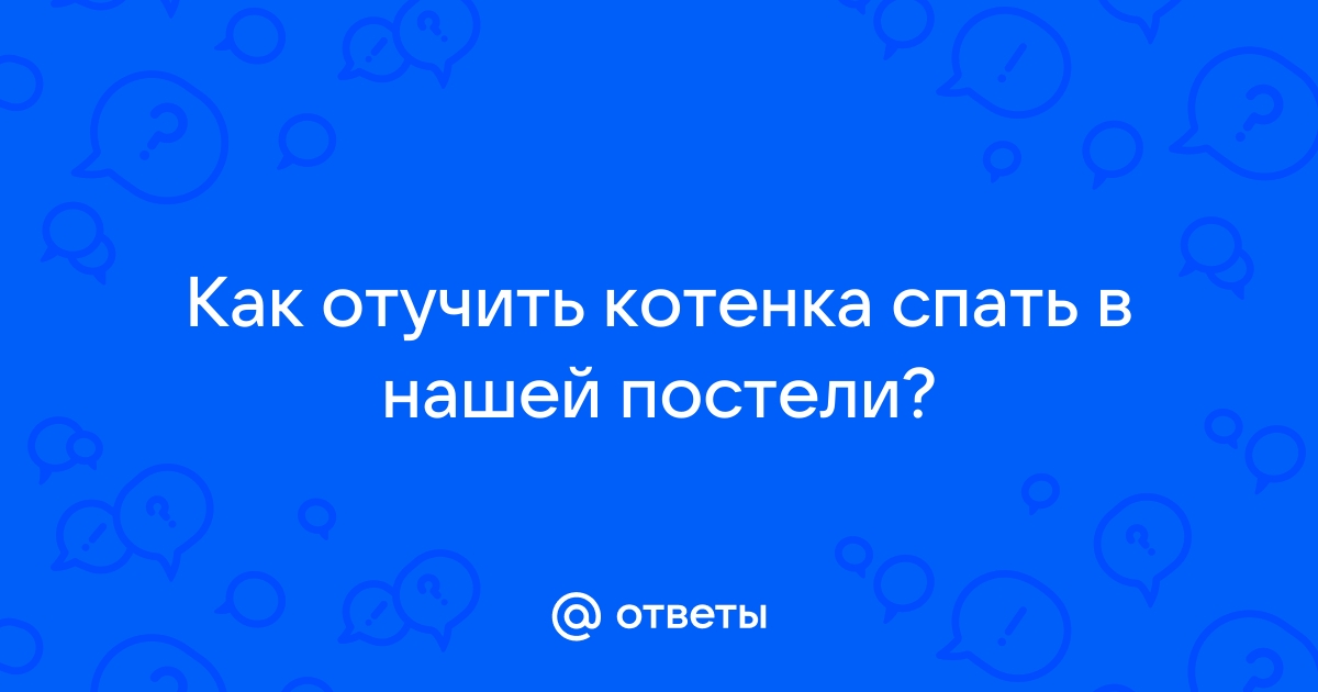 Как отучить котенка спать на кровати с хозяином