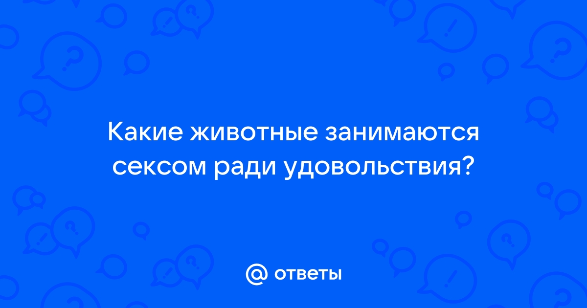 Ученый 30 лет исследует дельфинов: «Они занимаются сексом ради удовольствия»