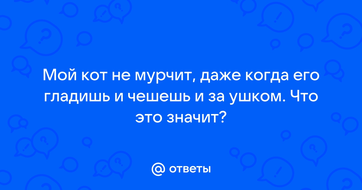 Кошка сначала мурлычет, потом кусается – в чем дело?