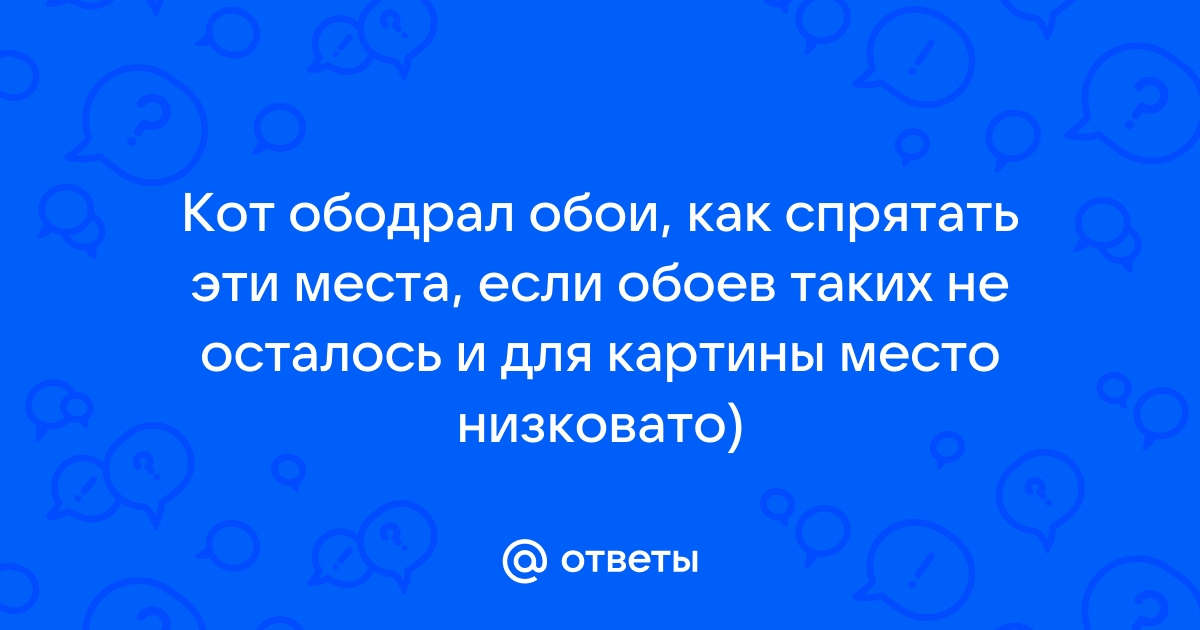 Кошка начала гадить и драть обои - обсуждение на форуме finanskredits.ru