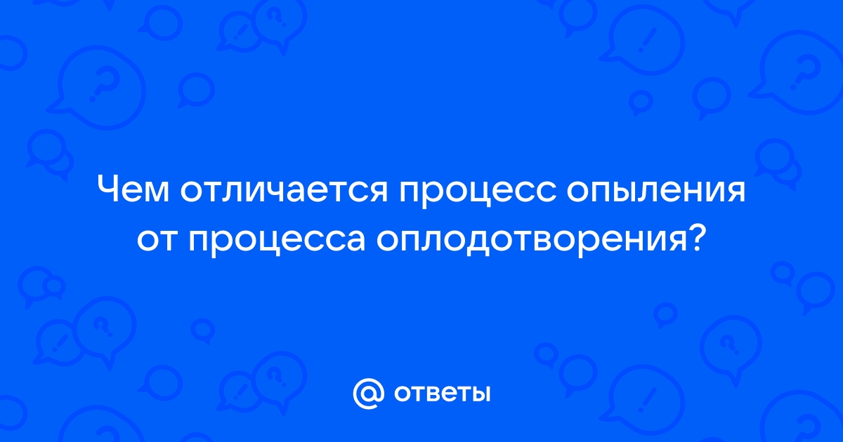 Чем отличается проект от процесса