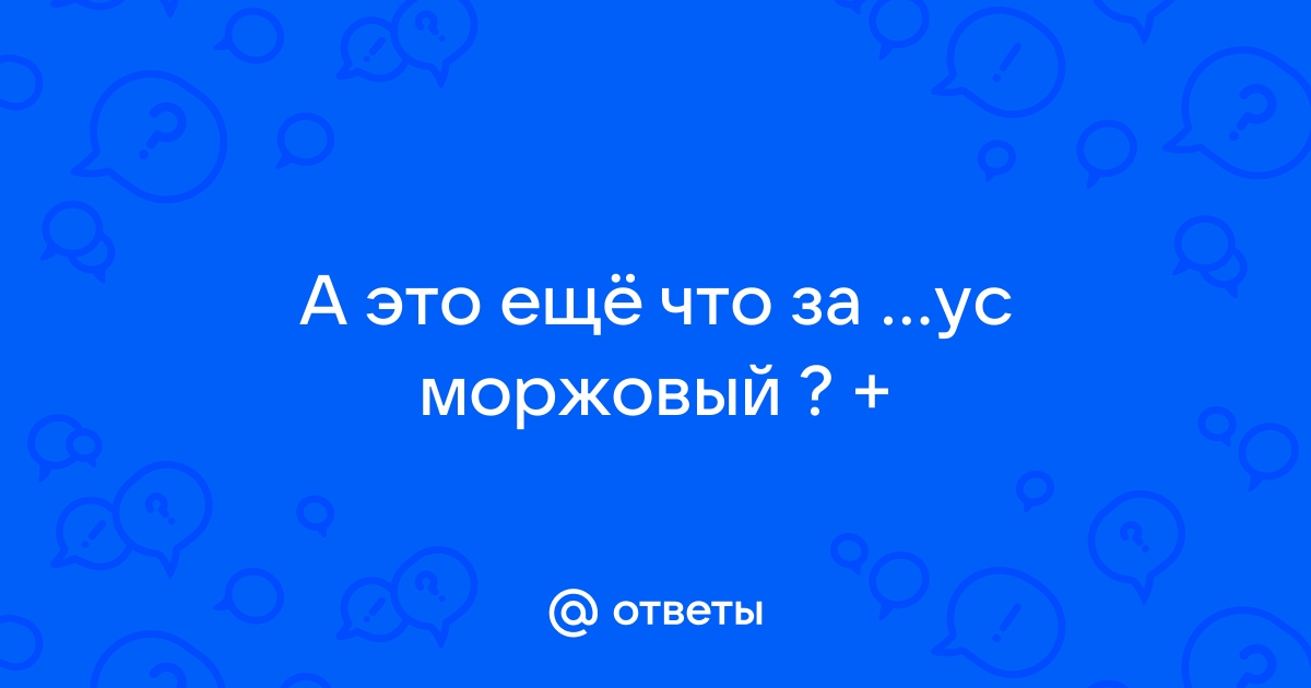 В «Звезде» рекордный урожай