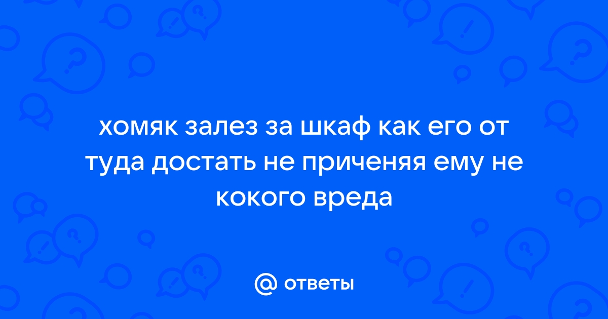 Как достать хомяка из под дивана