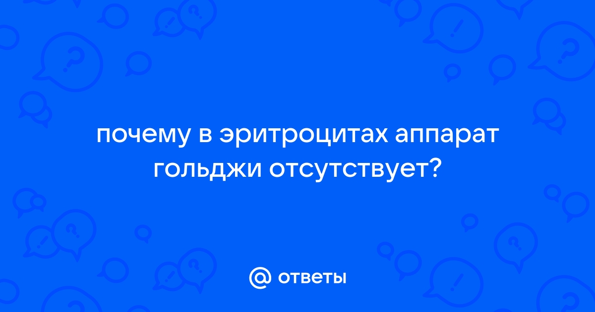 Во всех ли клетках имеется аппарат Гольджи и почему? Приведите примеры. - Универ soloBY