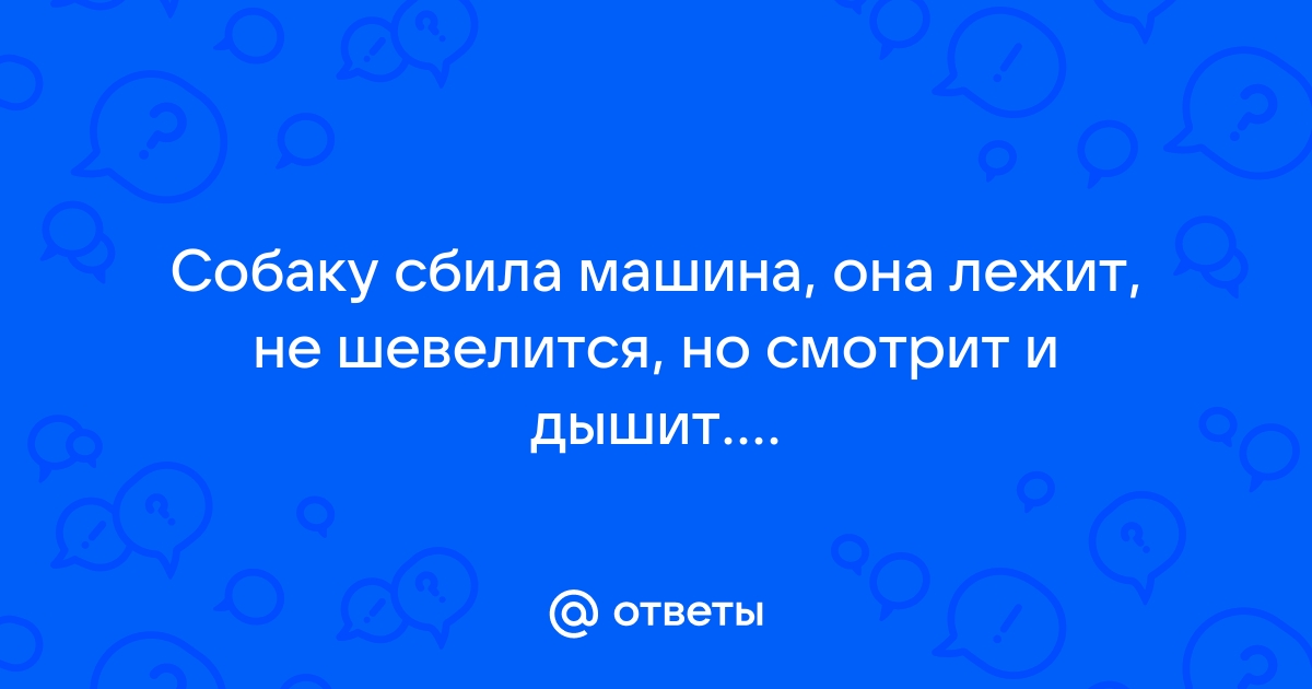 Сонник поцарапать чужую машину