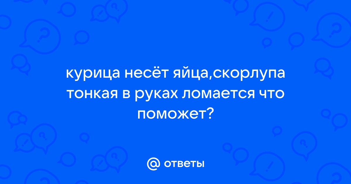 Тонкая скорлупа у яиц и другие проблемы яйцекладки кур