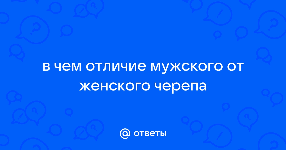 Найти жену черепа картинка правильный ответ