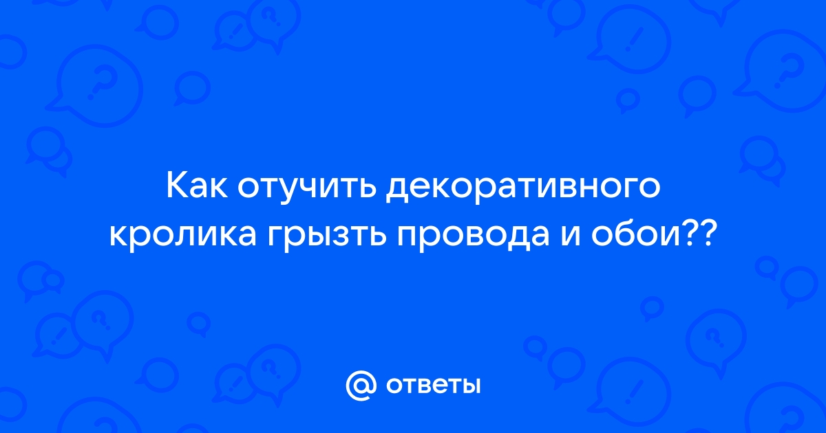 Как отучить кролика грызть обои