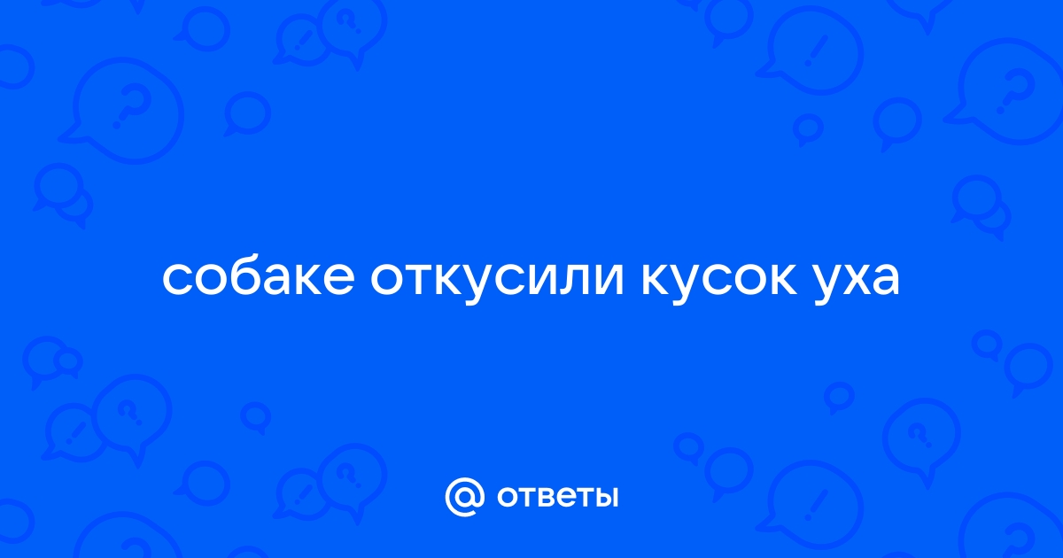 Собаке откусили часть уха что делать