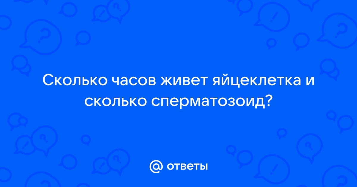 Сколько живут сперматозоиды во влагалище