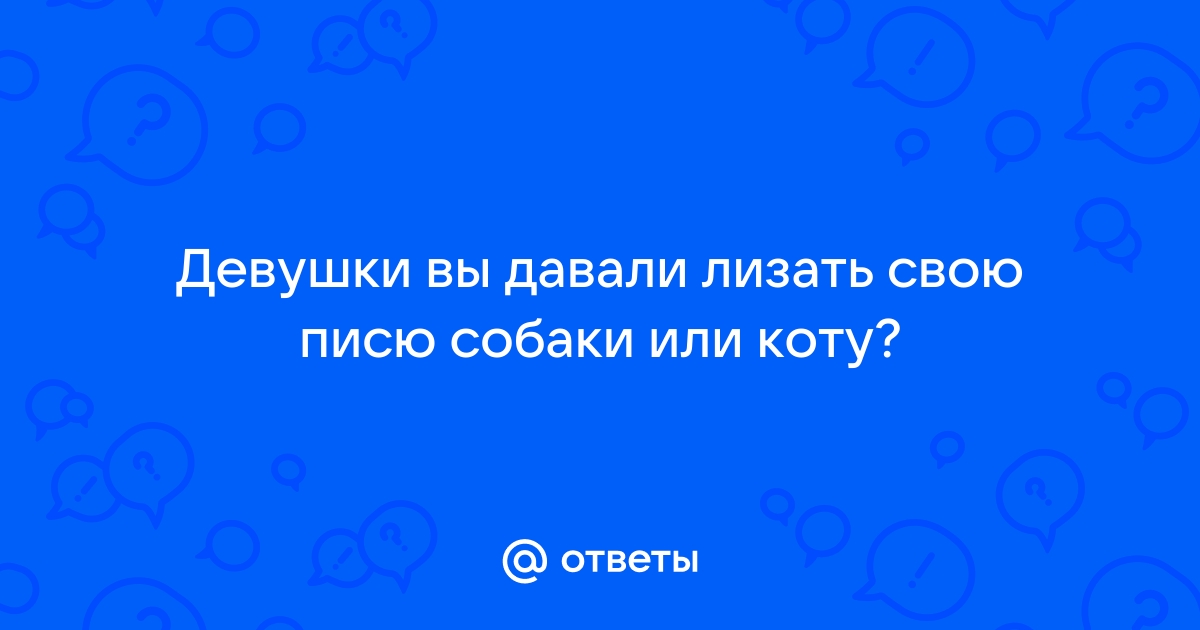 3 причины, почему собака лижет лицо хозяина?