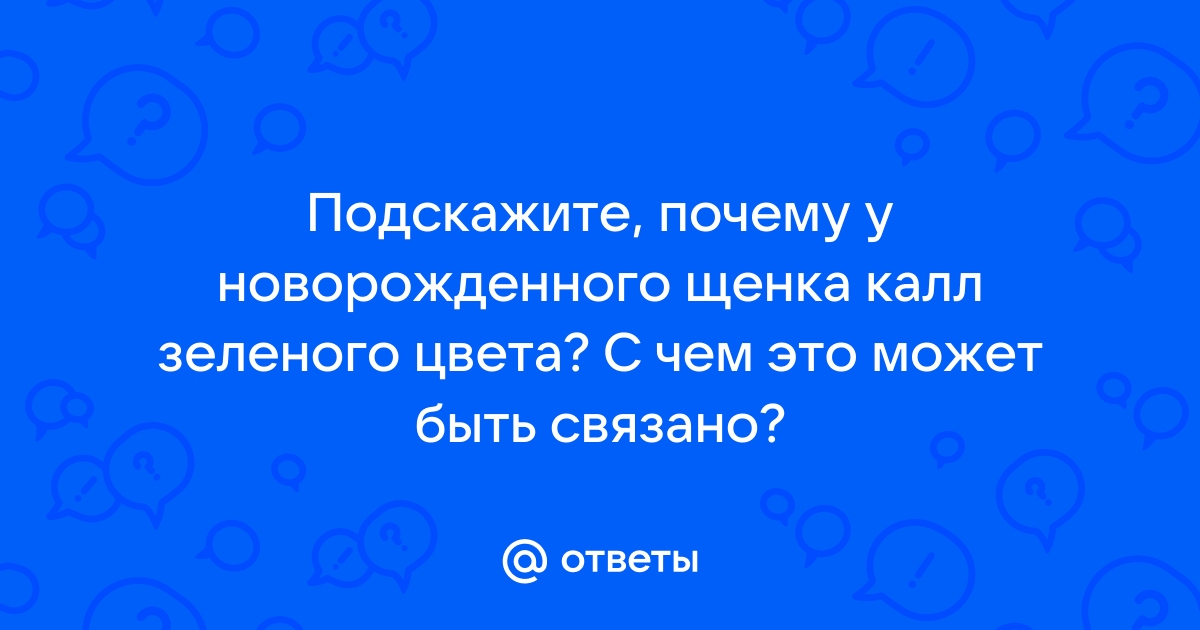 Зеленый стул у новорожденного щенка