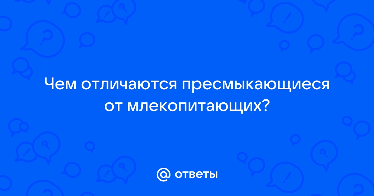 Чем отличаются млекопитающие от пресмыкающихся