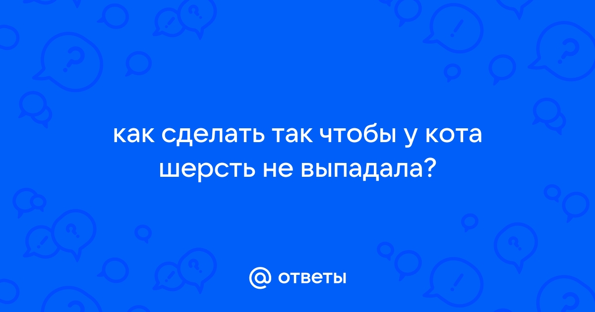 Ответы Mail.ru: как сделать так чтобы у кота шерсть не выпадала?